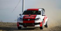 Testy Polo Proto